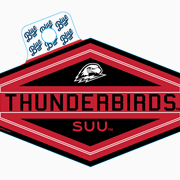 THUNDERBIRDS RED AND BLACDK SUU DECAL