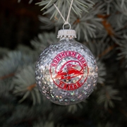 Silver SUU Sparkle Ornament