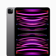 iPad Pro 11 1TB 4th Gen